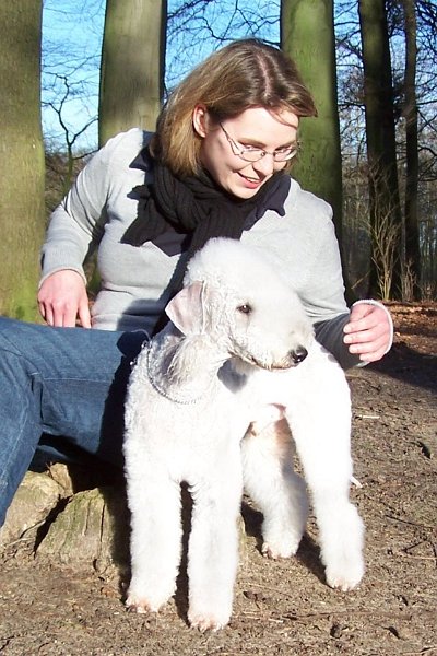 Airis Blue Volshebny Svet 09.02 (15).JPG